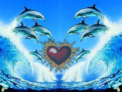 voila une image pour ma cherie que j'aime